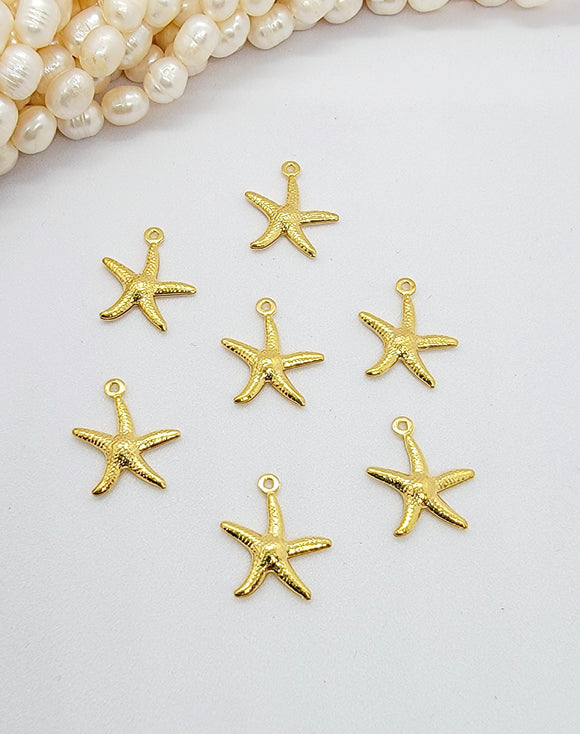 304 stainless Steel  starfish sea stars