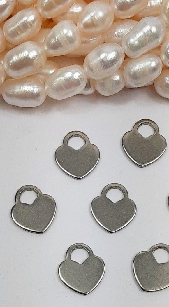 Stainless Steel charms