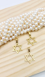 Stainless Steel pendants Star of David