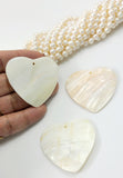 Shell Heart