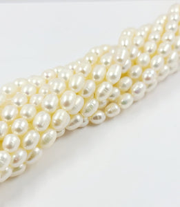 Pearls Beads